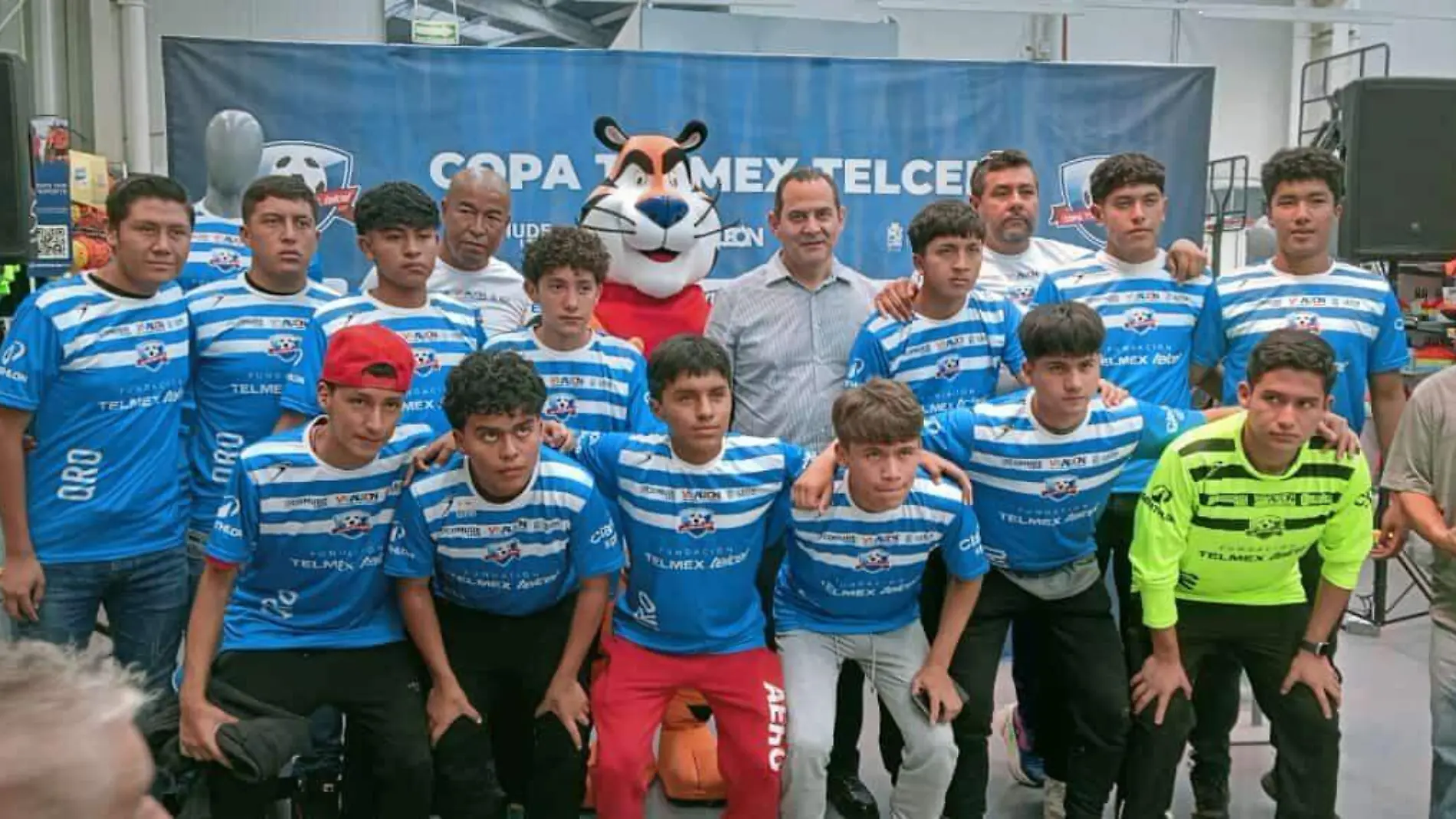 Copa Telmex